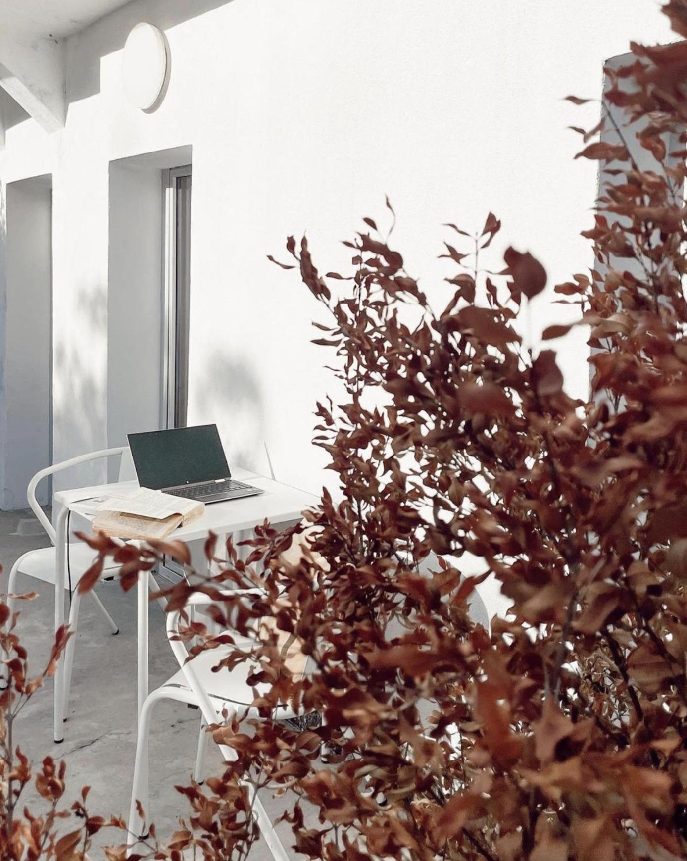 Appartement Cozy Lisbon Graça Extérieur photo